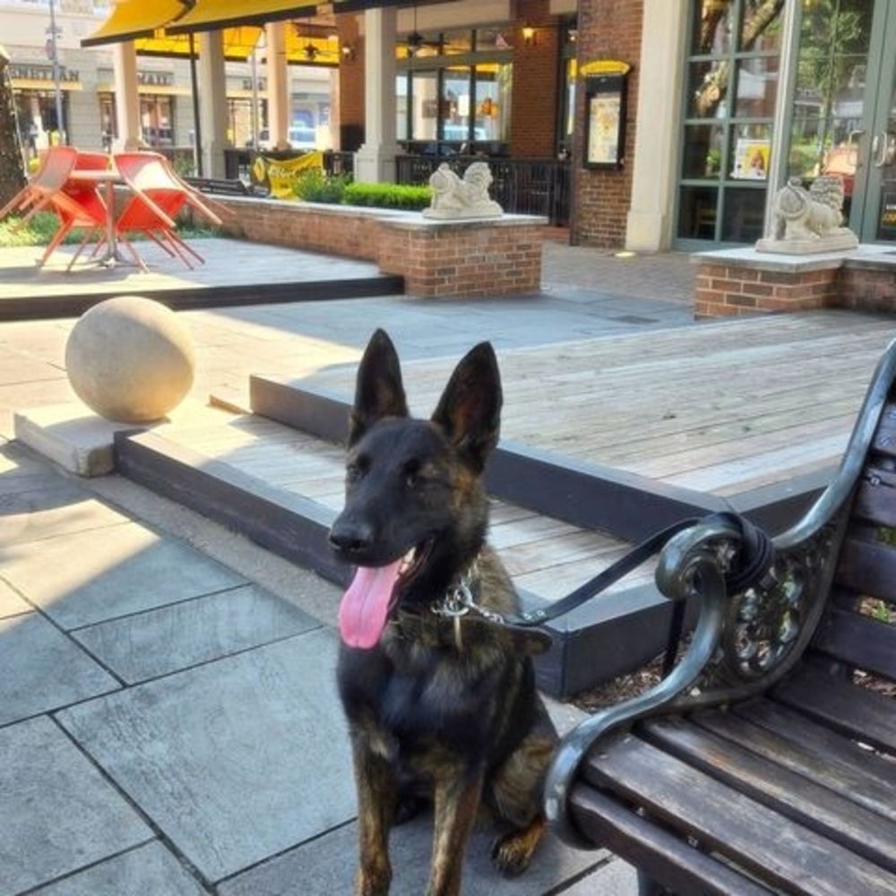 Meet your Posher, Corie